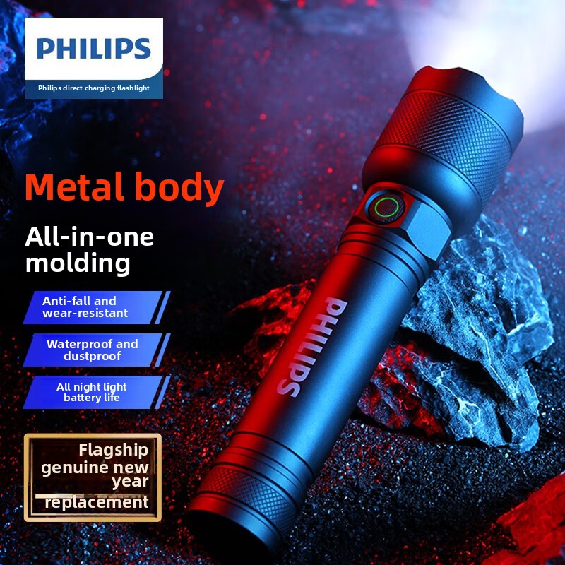 Outdoor Lighting Setup - 2025 NIEUWE Philips SFL2188 LED-zaklamp van