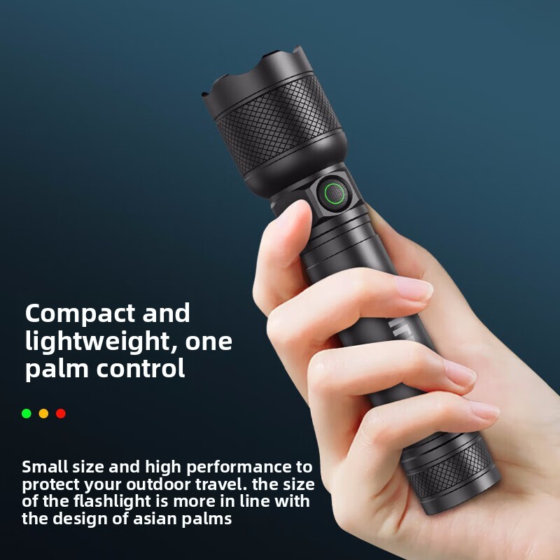 2025 NIEUWE Philips SFL2188 LE - Outdoor Lighting Setup recensie en prijs