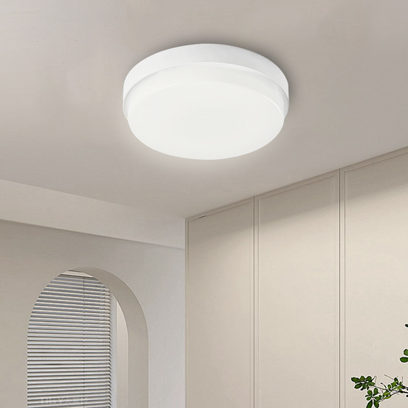 Moderne IP65 waterdichte plafo - Outdoor Lighting Year Round recensie en prijs