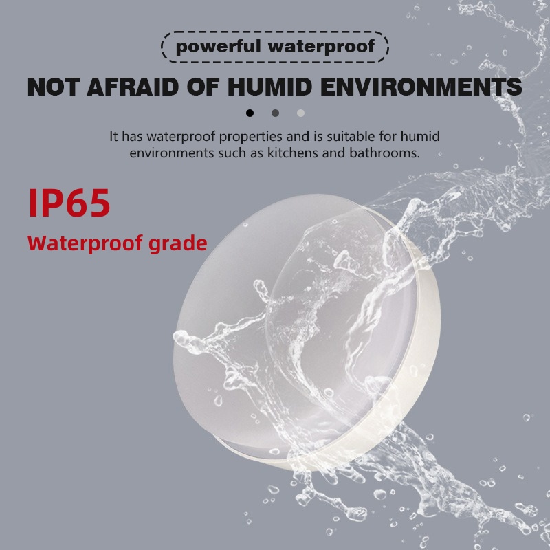 Moderne IP65 waterdichte plafo - Outdoor Lighting Year Round recensie en prijs